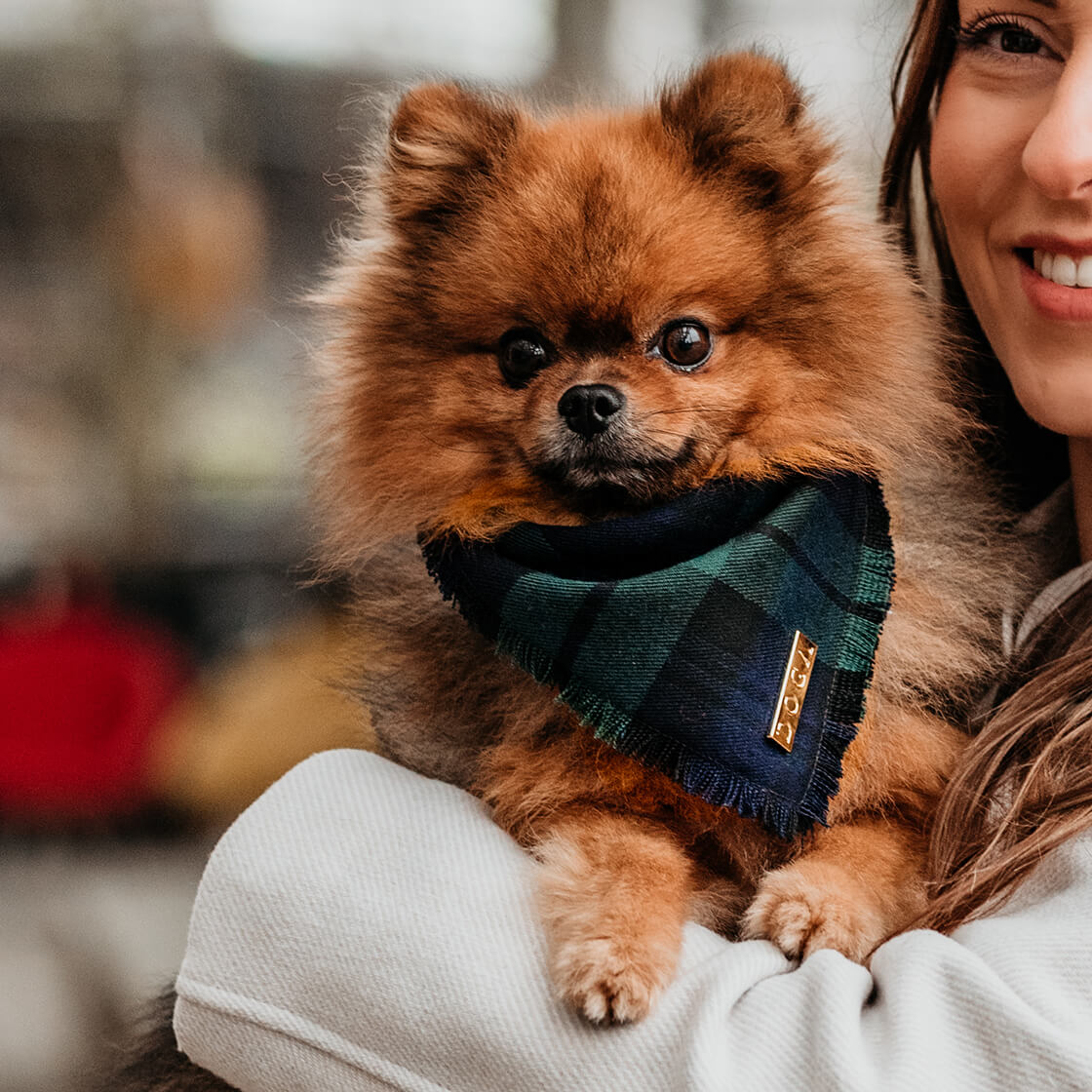 Bandana DOGA Emerald