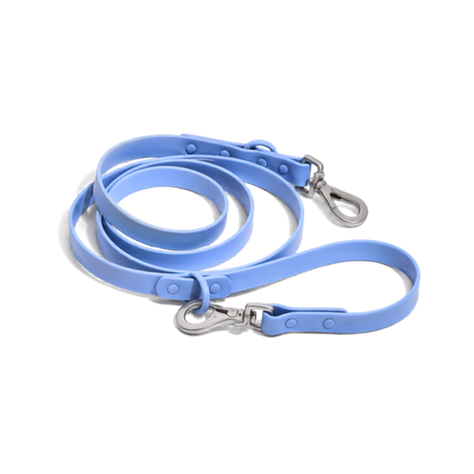 Biothane Leash Blue
