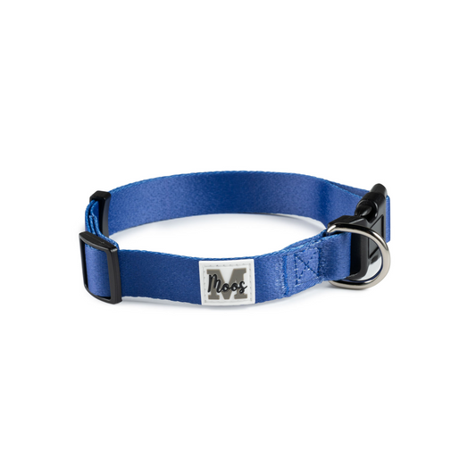 Halsband | Blue