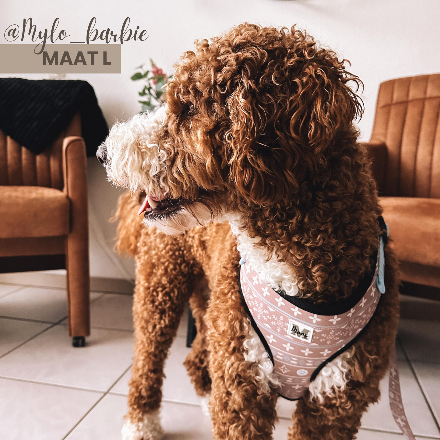 Harnas | Nordic Furton