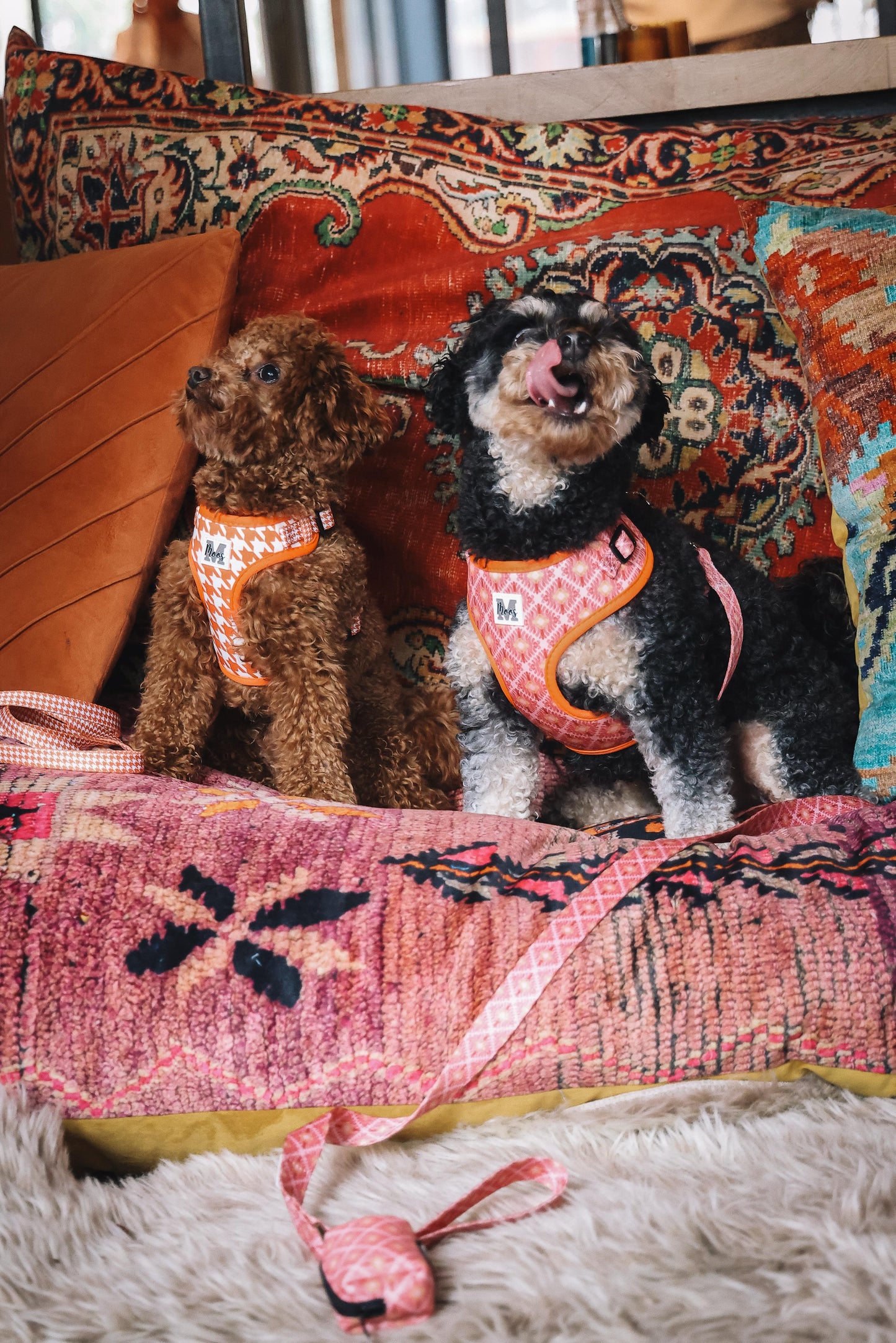 Poepzakjeshouder | Ibiza