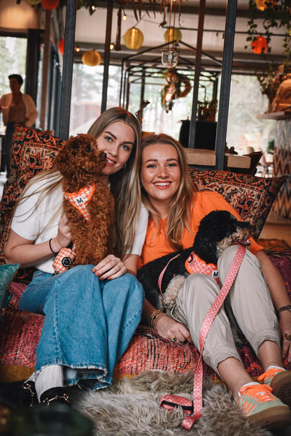 Poepzakjeshouder | Ibiza