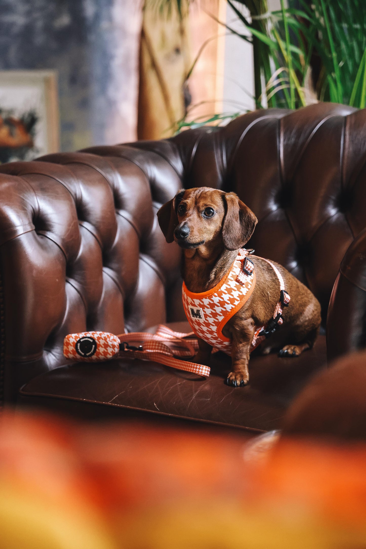 Poepzakjeshouder | Orange Pied-de-poule