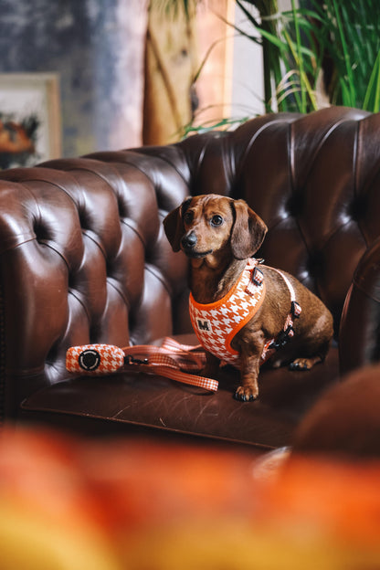 Poepzakjeshouder | Orange Pied-de-poule