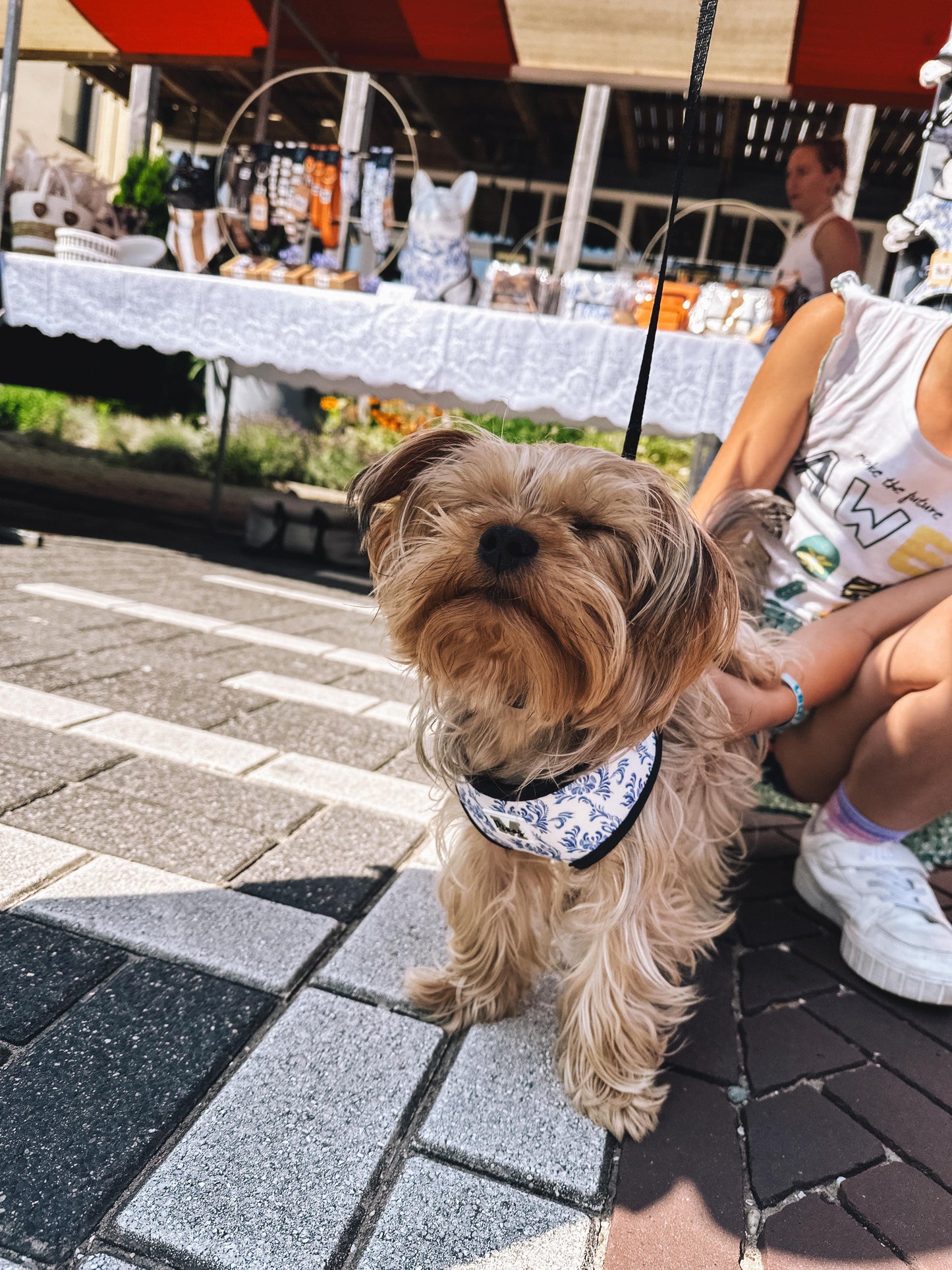 Harnas | Blue in Bloom