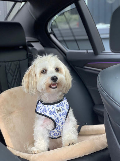 Harnas | Blue in Bloom