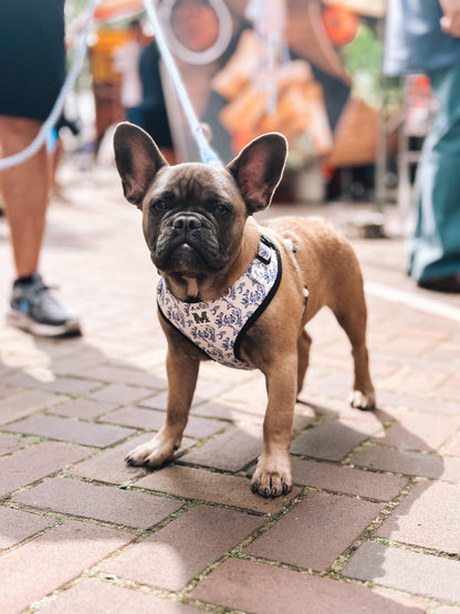 Harnas | Blue in Bloom