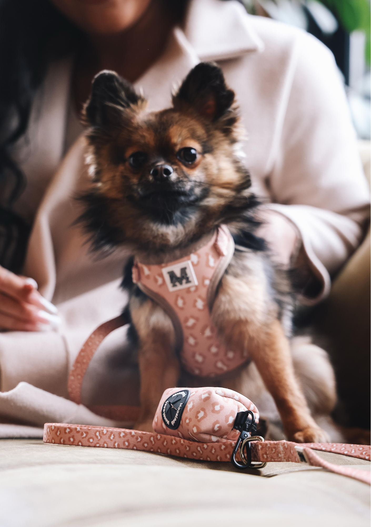 Poepzakjeshouder | Panter