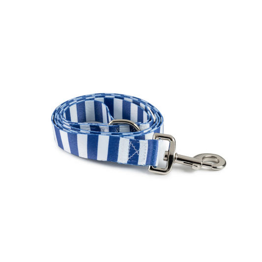 Leash | Blue Stripe