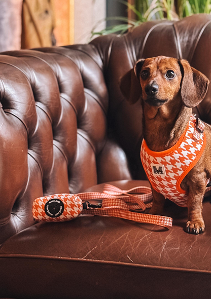 Leash | Orange Pied-de-Poule