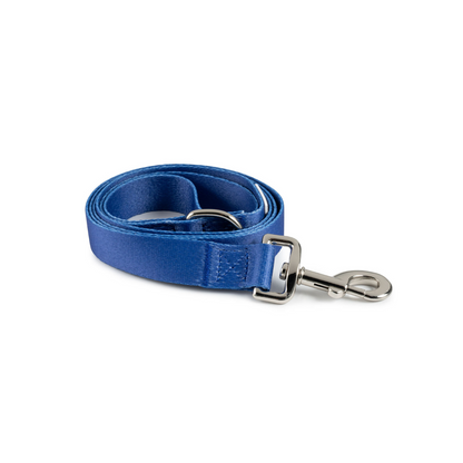 Leash | Blue