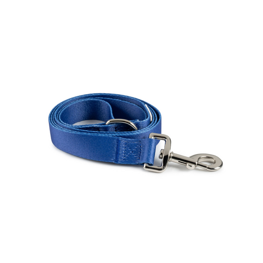 Leash | Blue