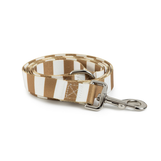 Leash | Brown Stripe