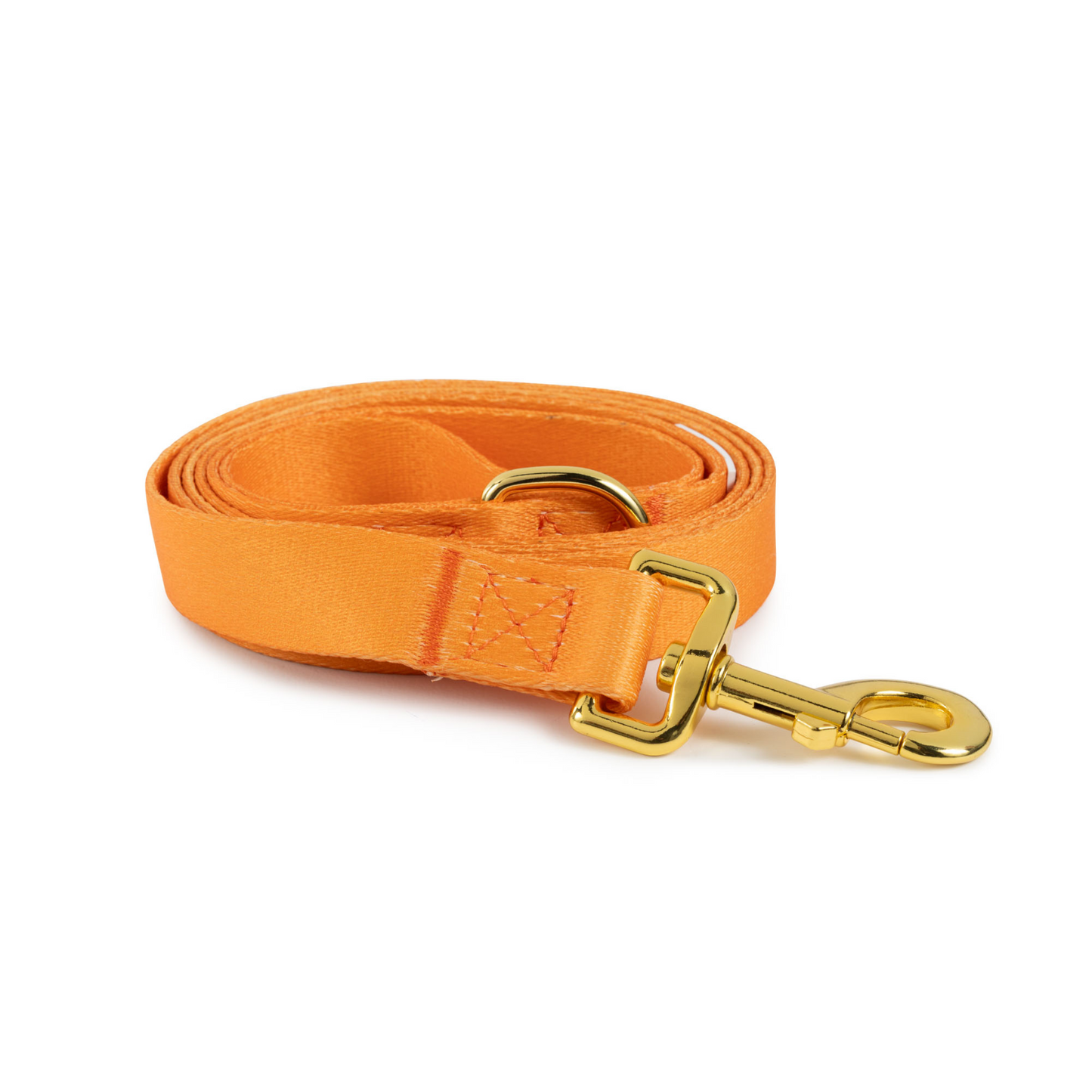 Leash | Orange