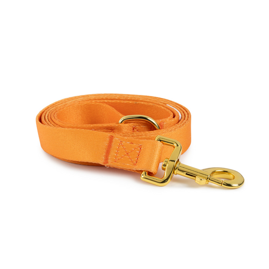 Leash | Orange